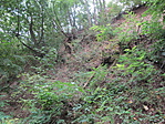 IMG_5494
