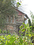 IMG_5855
