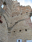 IMG_5873