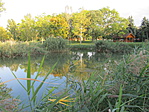 IMG_6038