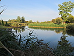 IMG_6039