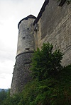 IMGP1053