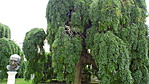 P1290042