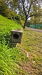 WP_20170927_15_21_51_Pro