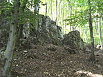 Szár 021