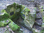 DSC06153