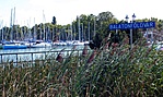 gcfold-P8290312
