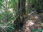 gcszpt-P8290364