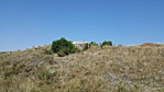 20170826_112511