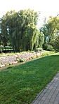 IMG_20170902_111245