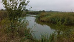 IMG_20170903_105631