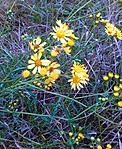 IMG_20170903_105611