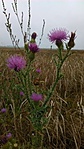 IMG_20170903_105930