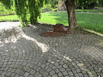 IMG_7093