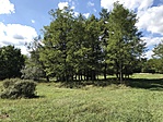 IMG_6024