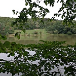 GCfhto_2017091124548.jpg