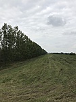 2017-09-24 13.57.20