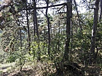IMG_20170830_130121