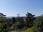 IMG_20170830_131539