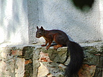 DSC02751