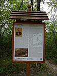P1020675