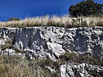 20170914_120525