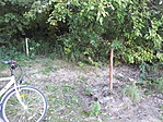 20170910_161450