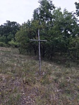IMG_0946