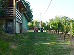 P1210263_resize