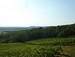 P1210267_resize