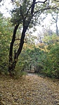 20171022_140137