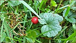 20170929_153703