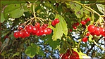 20170928_135631