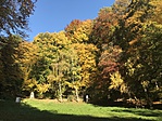 IMG_7549