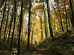 IMG_7554