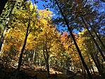 IMG_4724