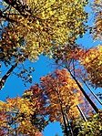 IMG_7396