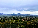 IMG_7713