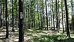 40. Sasvári Panoráma (GCSaPa) (2)