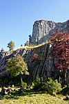 DSC01819_x