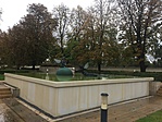 IMG_1631