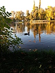 20171016_164713