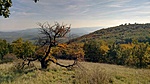 WP_20171014_14_09_08_Pro