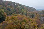 _DSC0615
