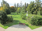 IMG_6451