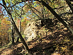 IMG_6703