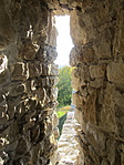 IMG_6715