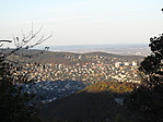 IMG_6835