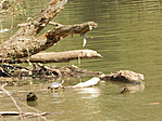 PA010167