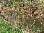 P1350934